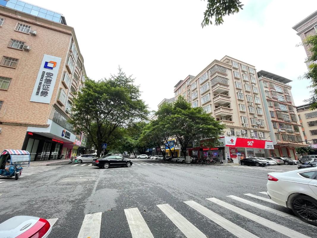 尋一處城市閑居 中興街二小旁的四房之家